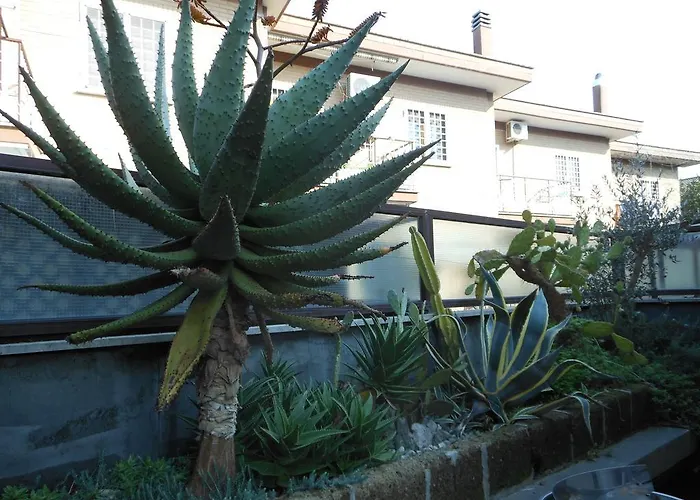 Gasthuis Happy Days Rome