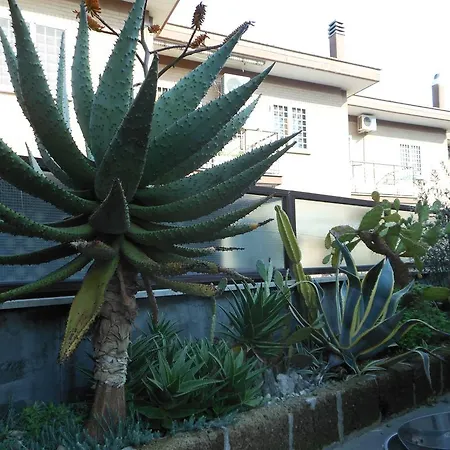 Πανσιόν Happy Days Ρώμη