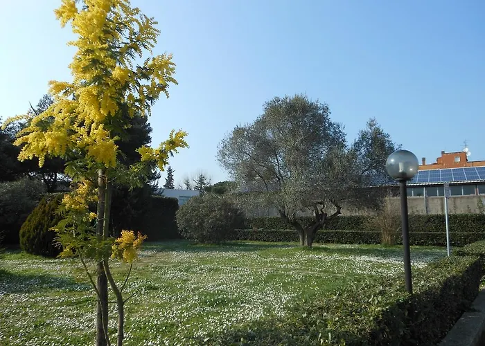 Happy Days 5* Ρώμη