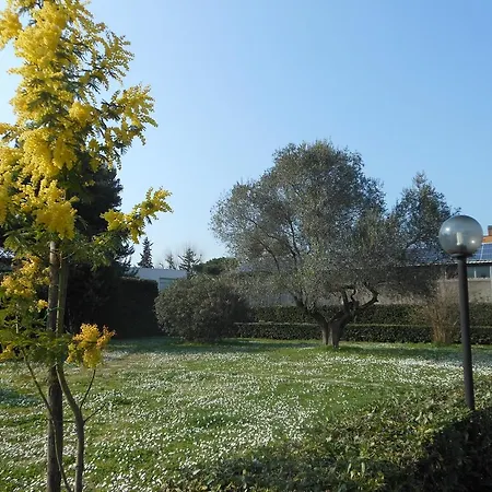 Happy Days 5* Рим